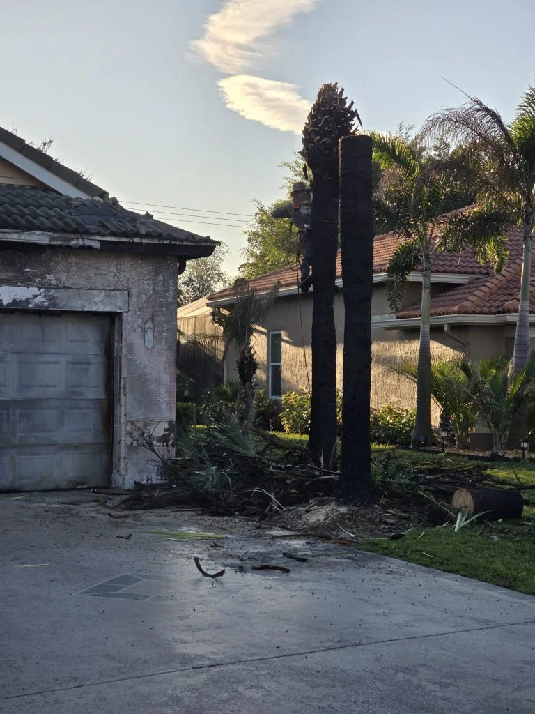 Fire damage restoration: structural repairs
