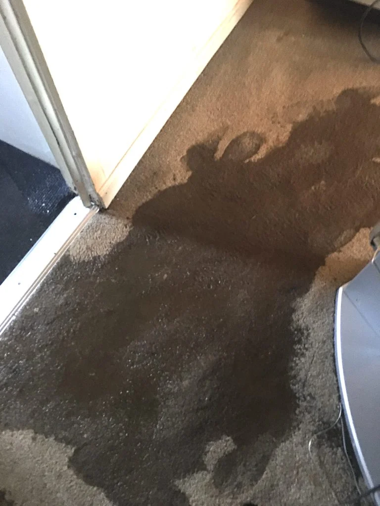 Sewage cleanup: professional containment