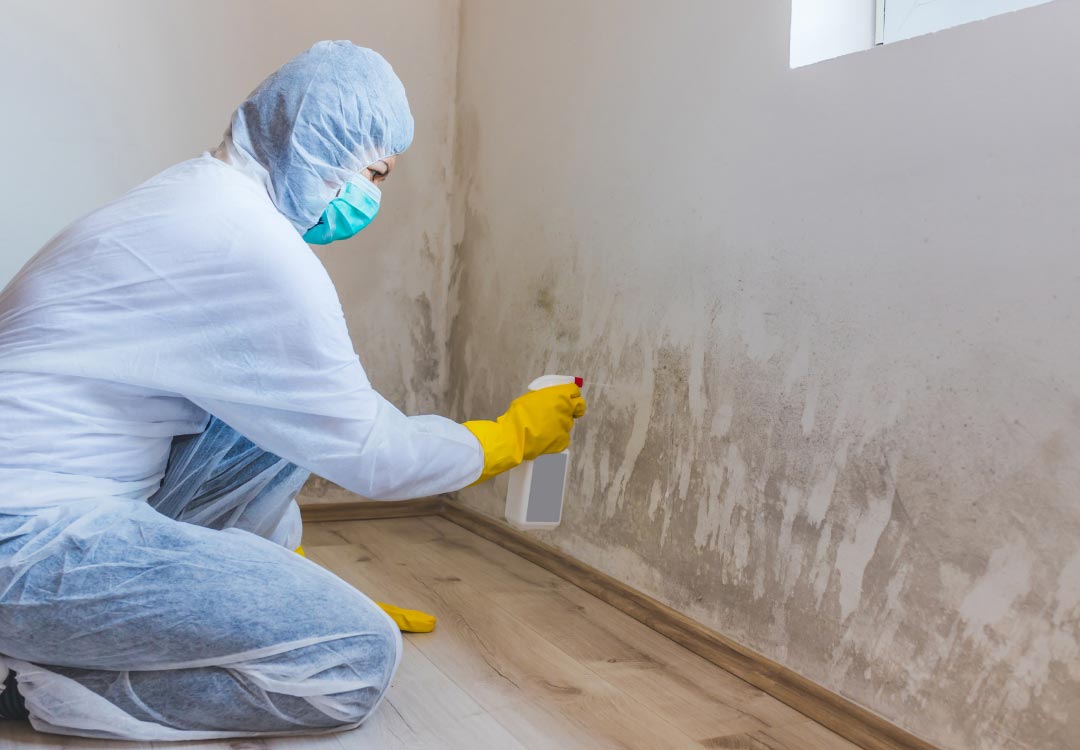 Mold damage restoration and removal in Boca Raton, Florida