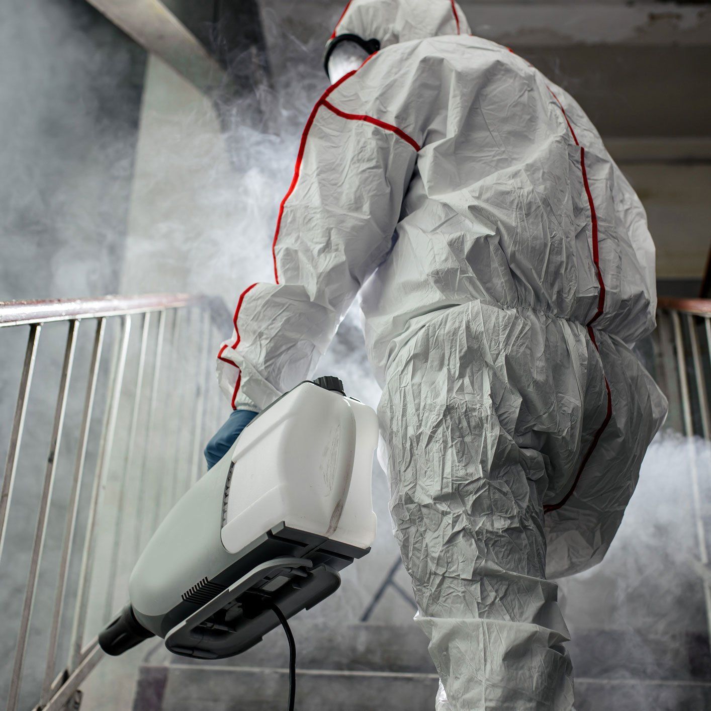 Mold Removal in West Palm Beach, FL
