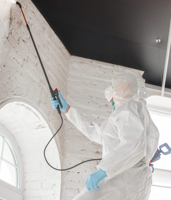 Mold Removal Experts in Delray Beach FL