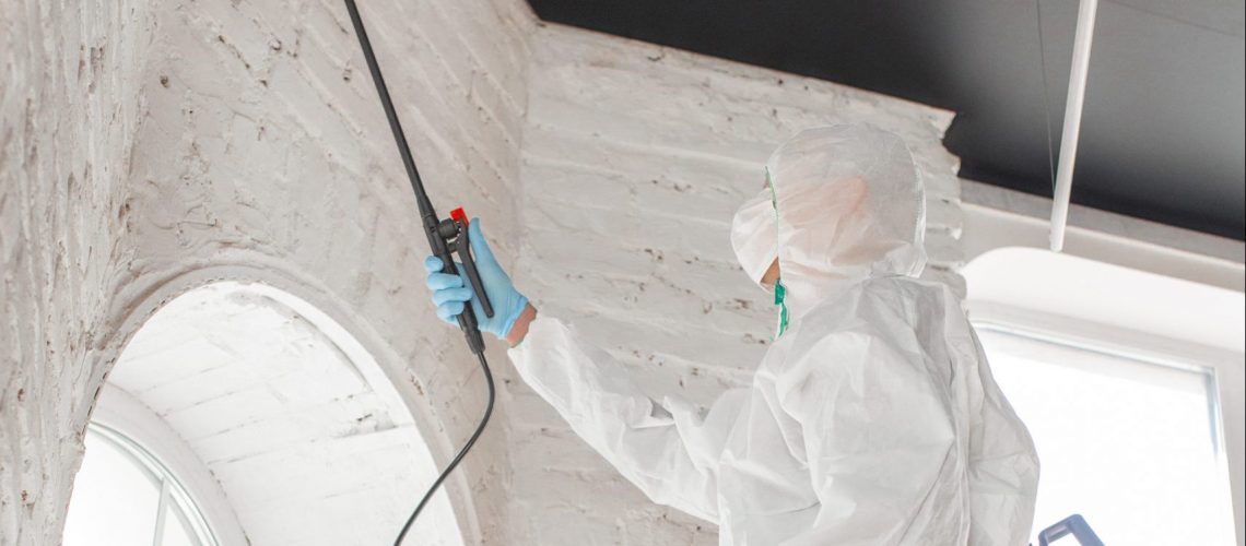 Mold Removal Experts in Delray Beach FL